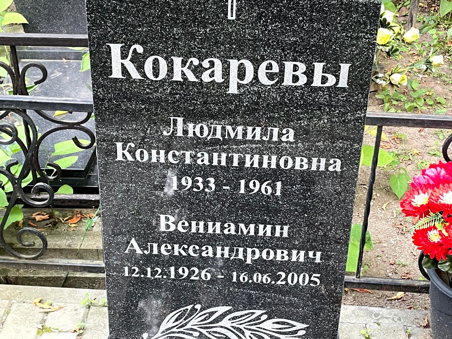 Кокарева