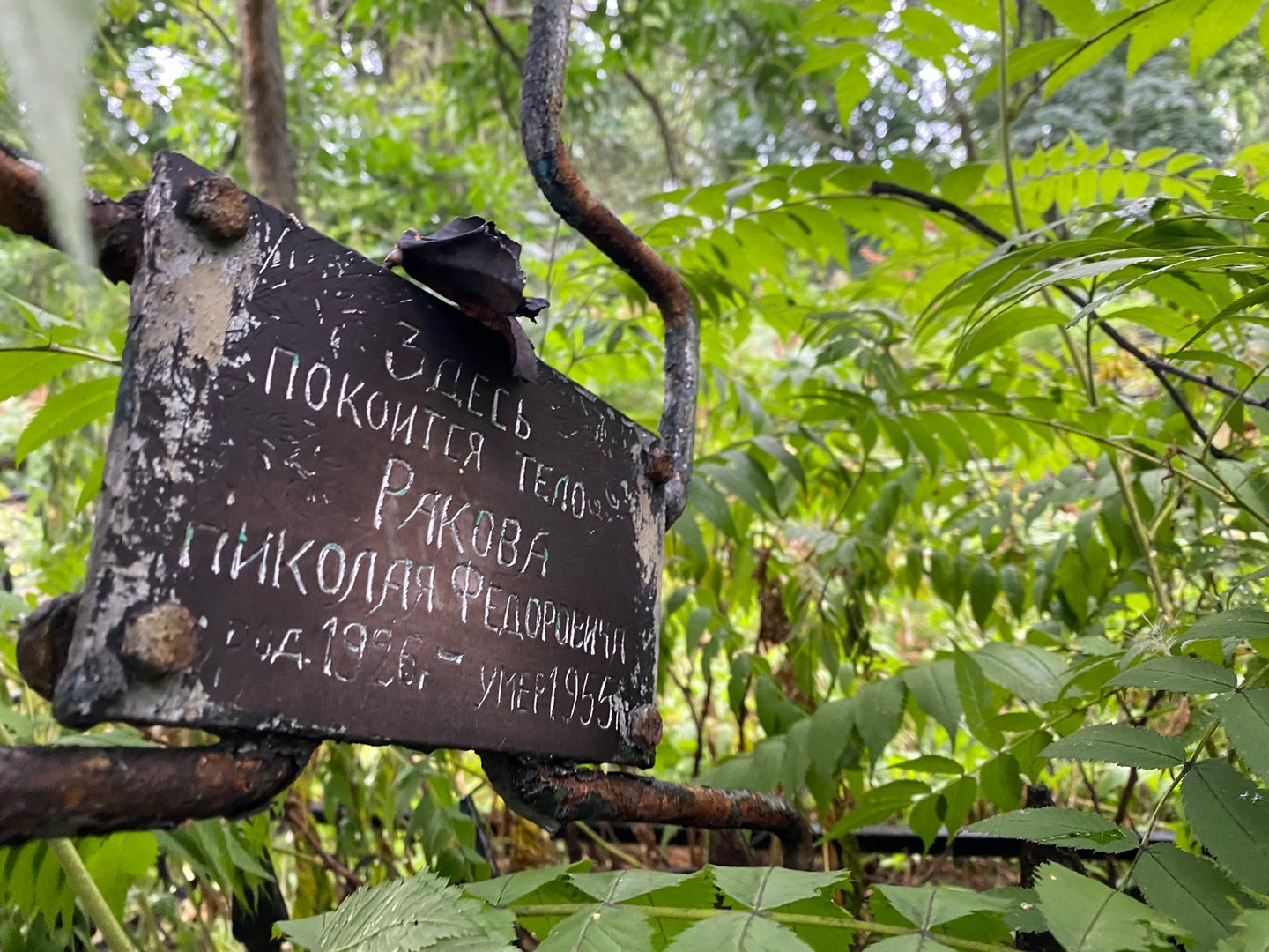 Раков