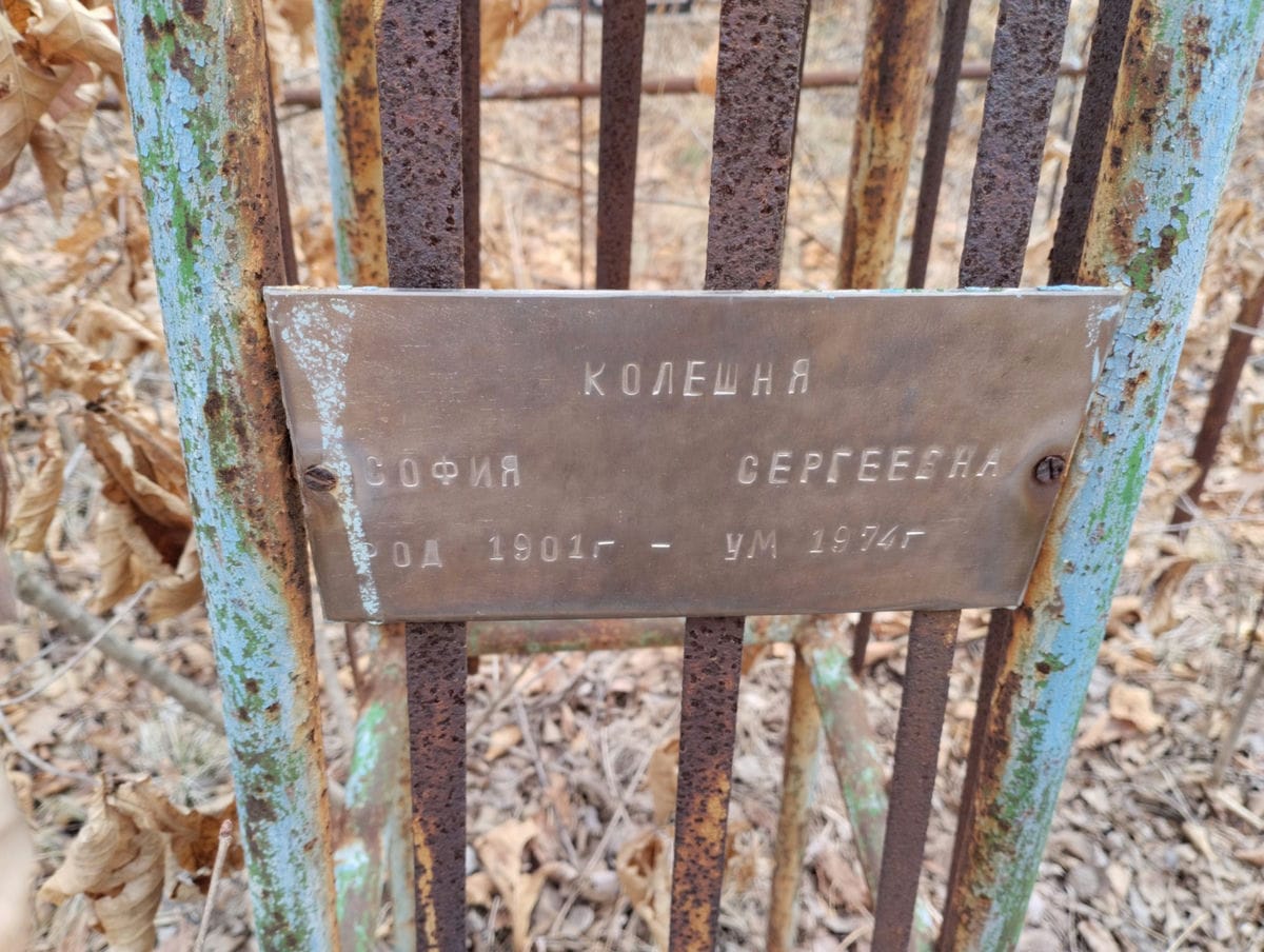 Колешня София Сергеевна