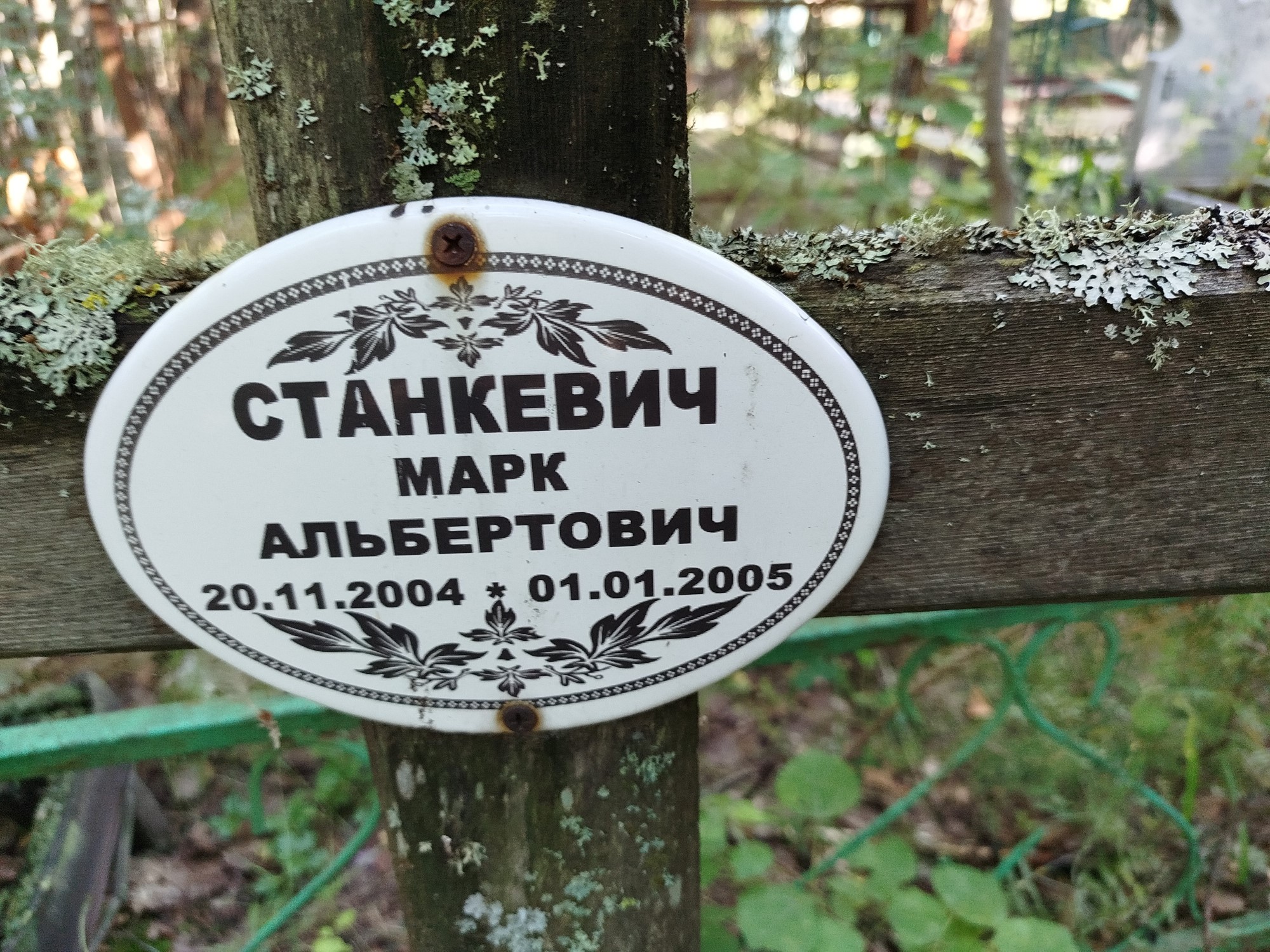 Станкевич Марк Альбертович