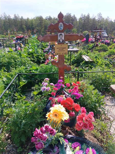 Царегородцев Михаил Гаврилович
