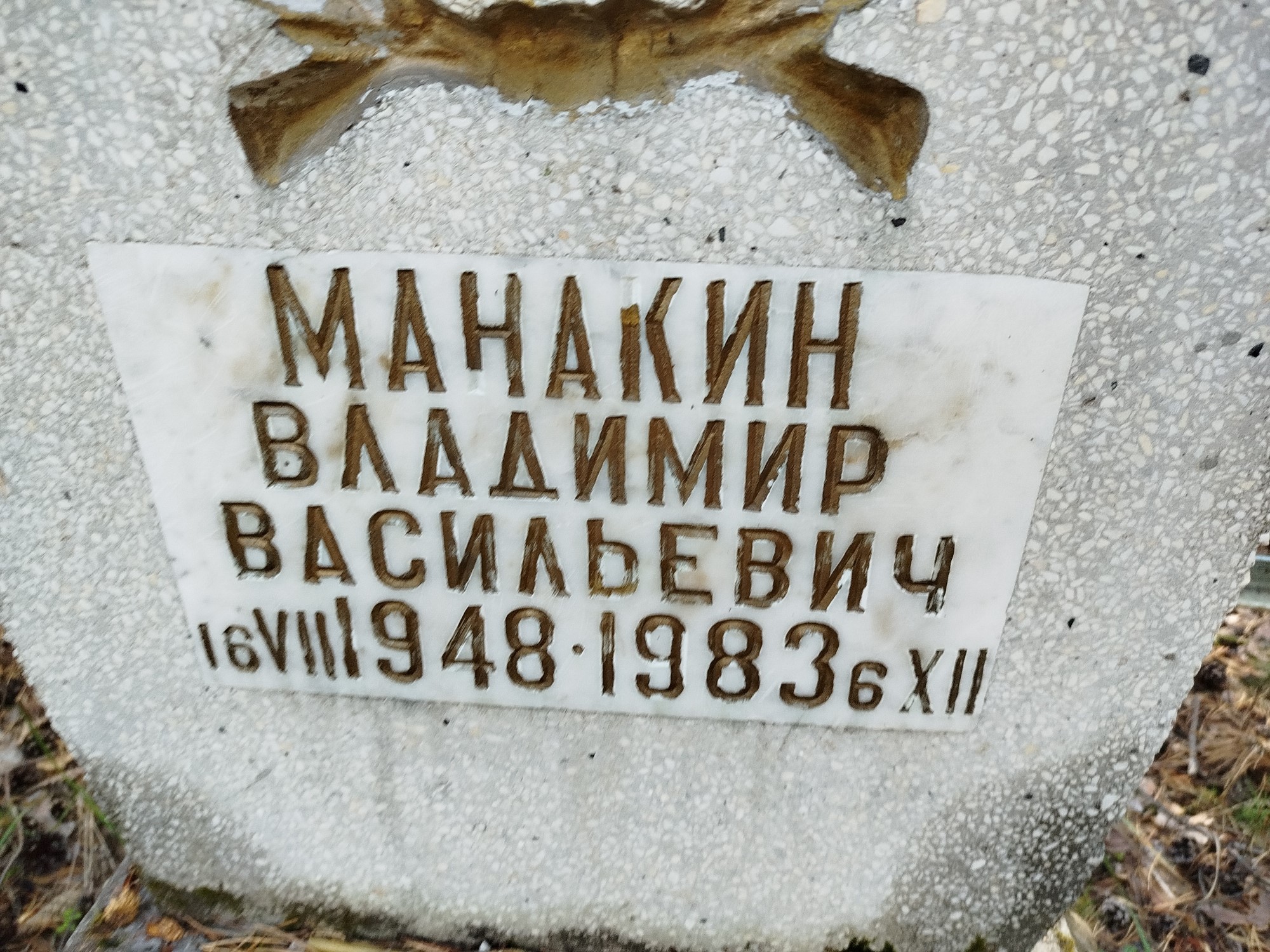 Манакин Владимир Васильевич