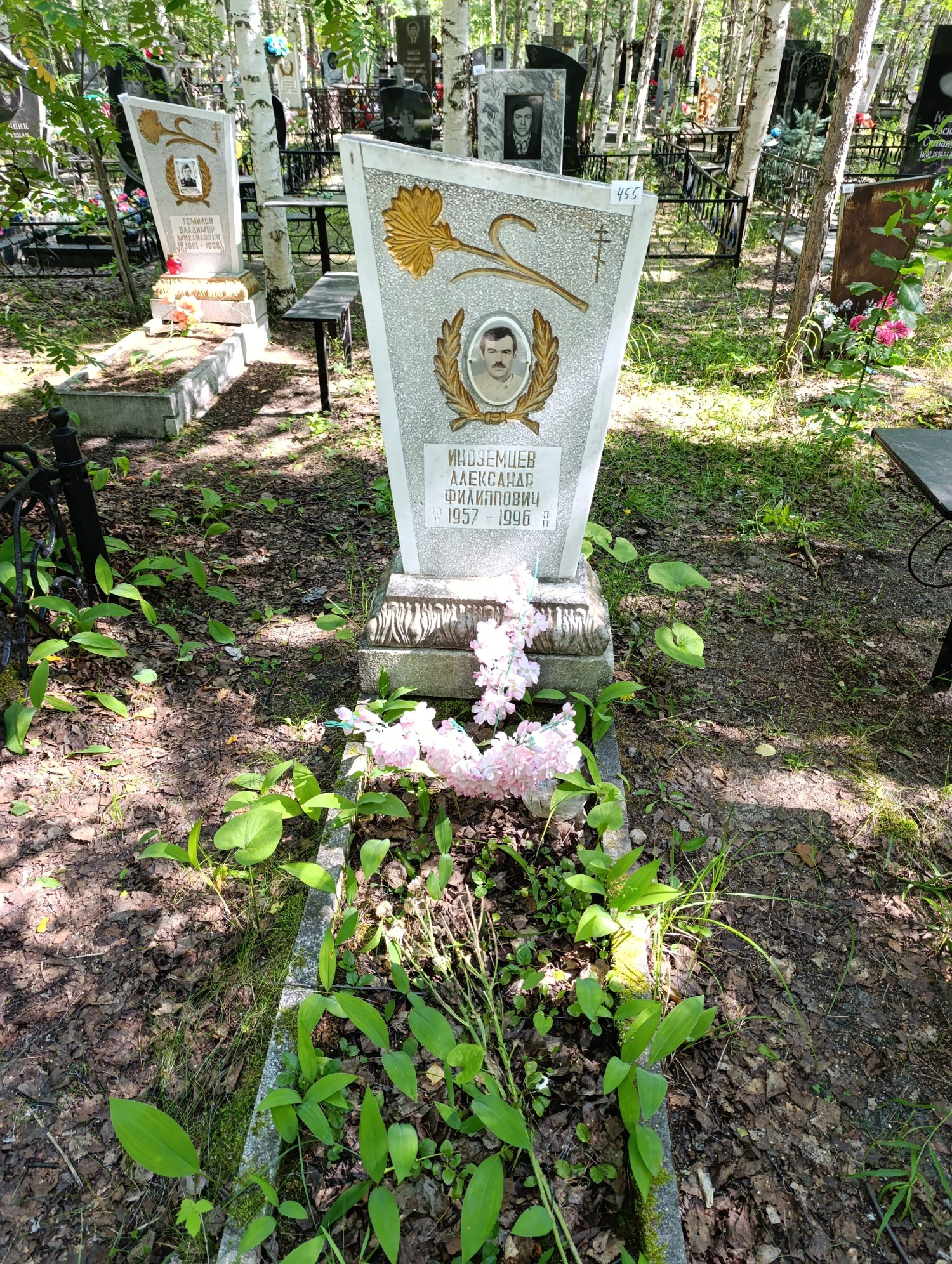 Иноземцев Александр Филиппович