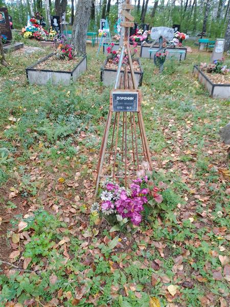Воронин Андрей Екимович