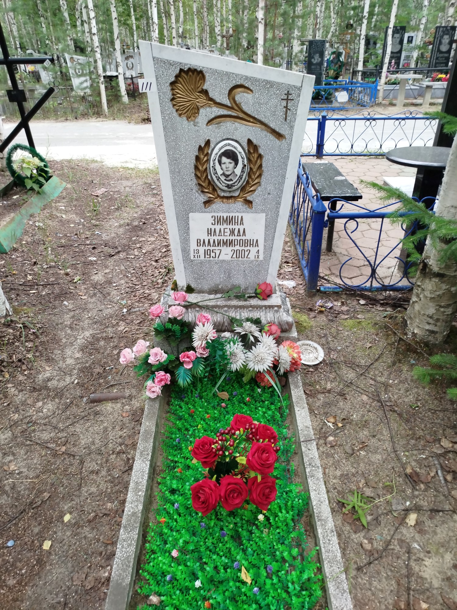 Зимина Надежда Владимировна
