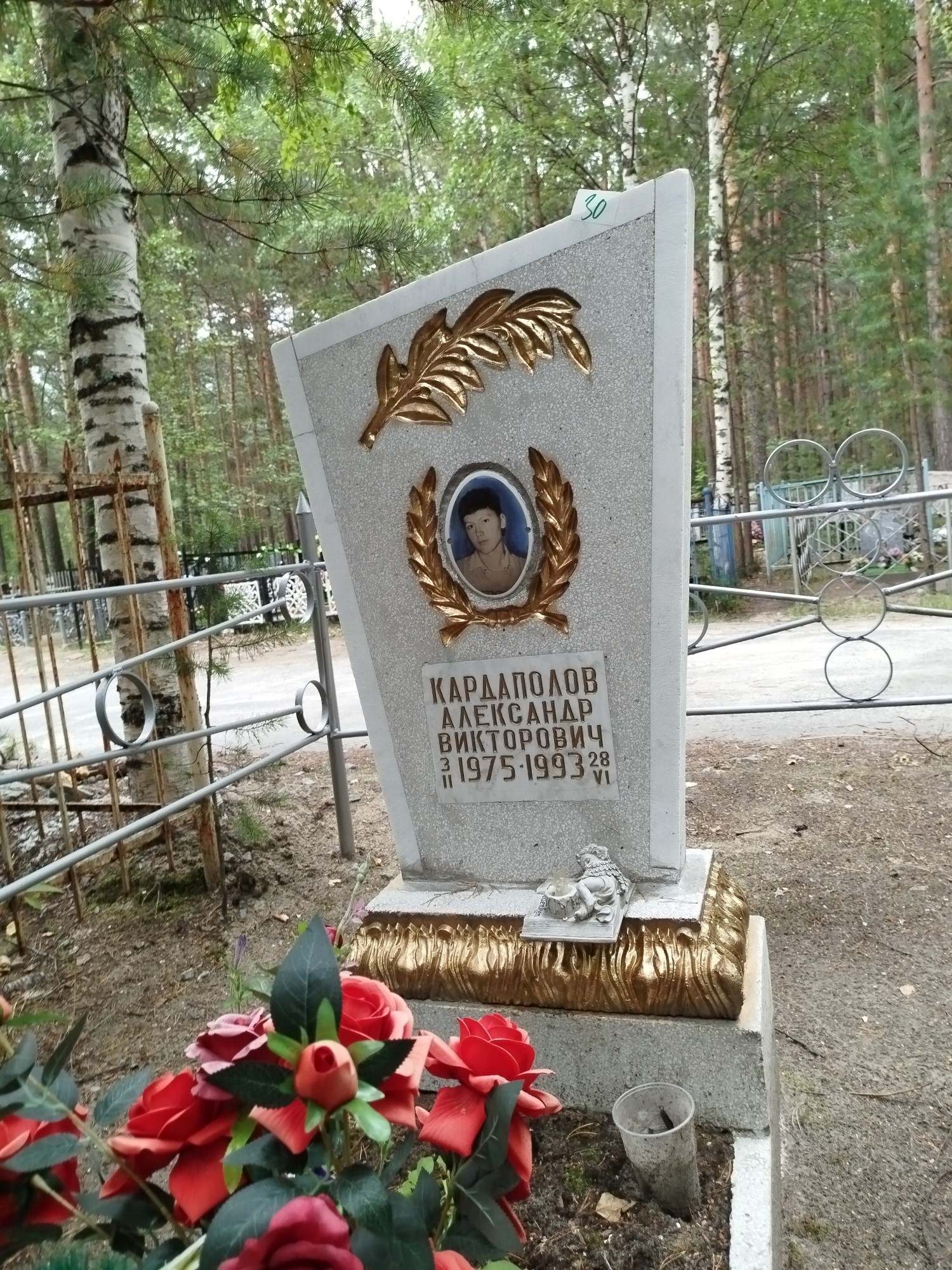 Кардаполов Александр Викторович