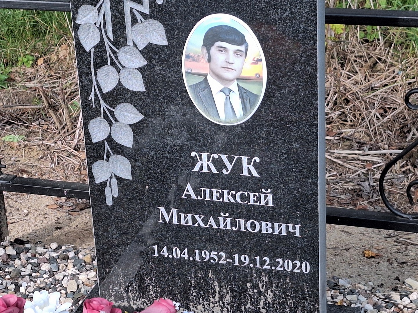 Жук