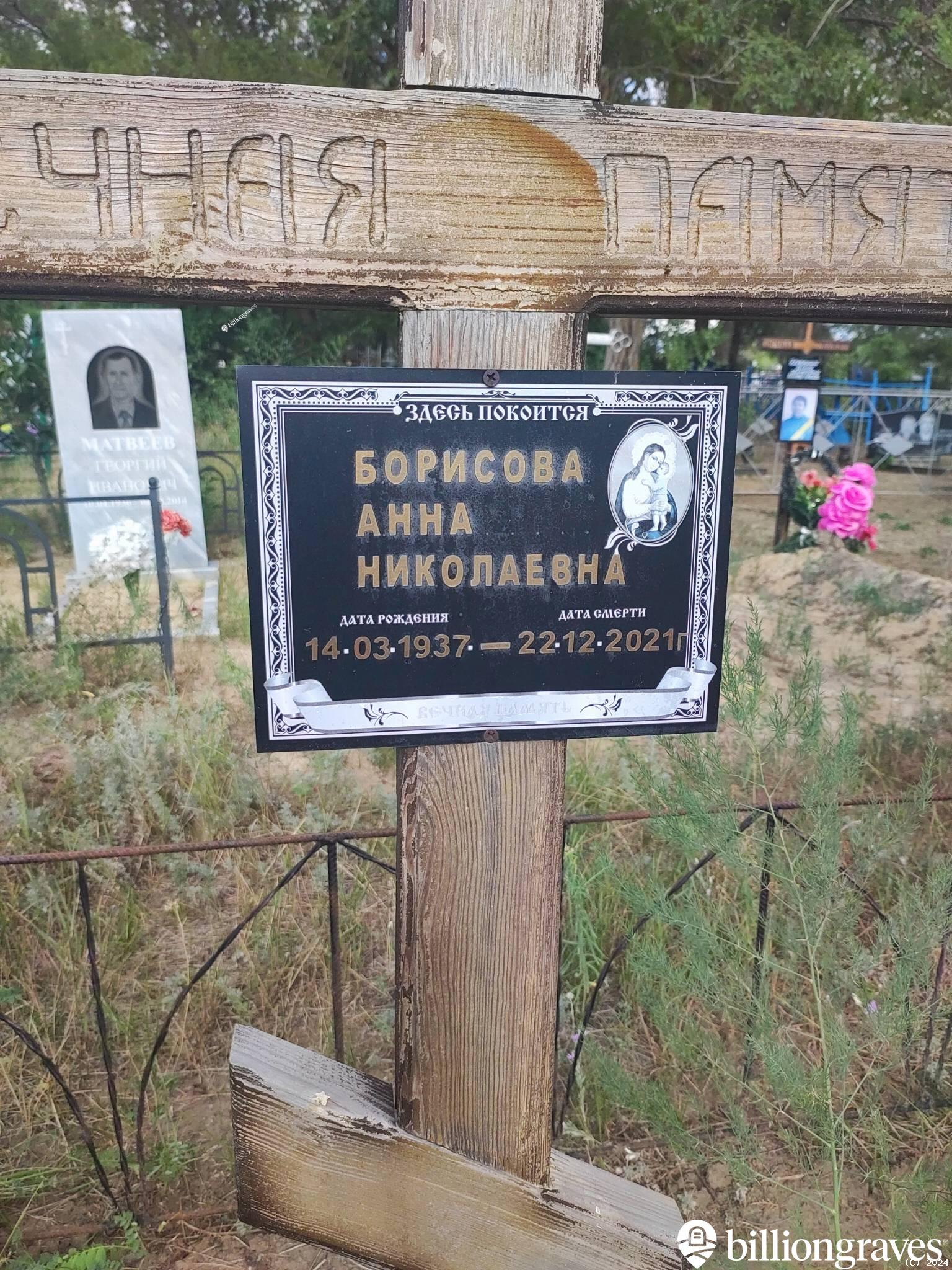 Борисова Анна Николаевна