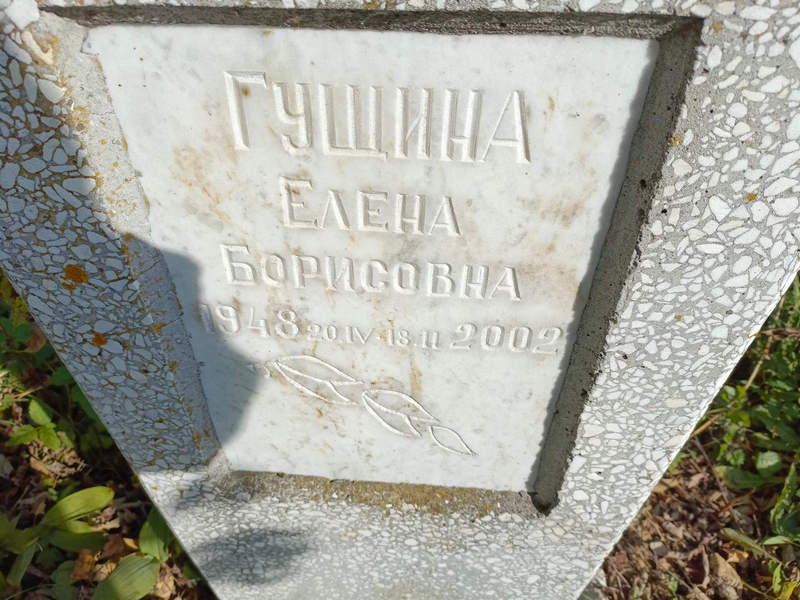 Гущина