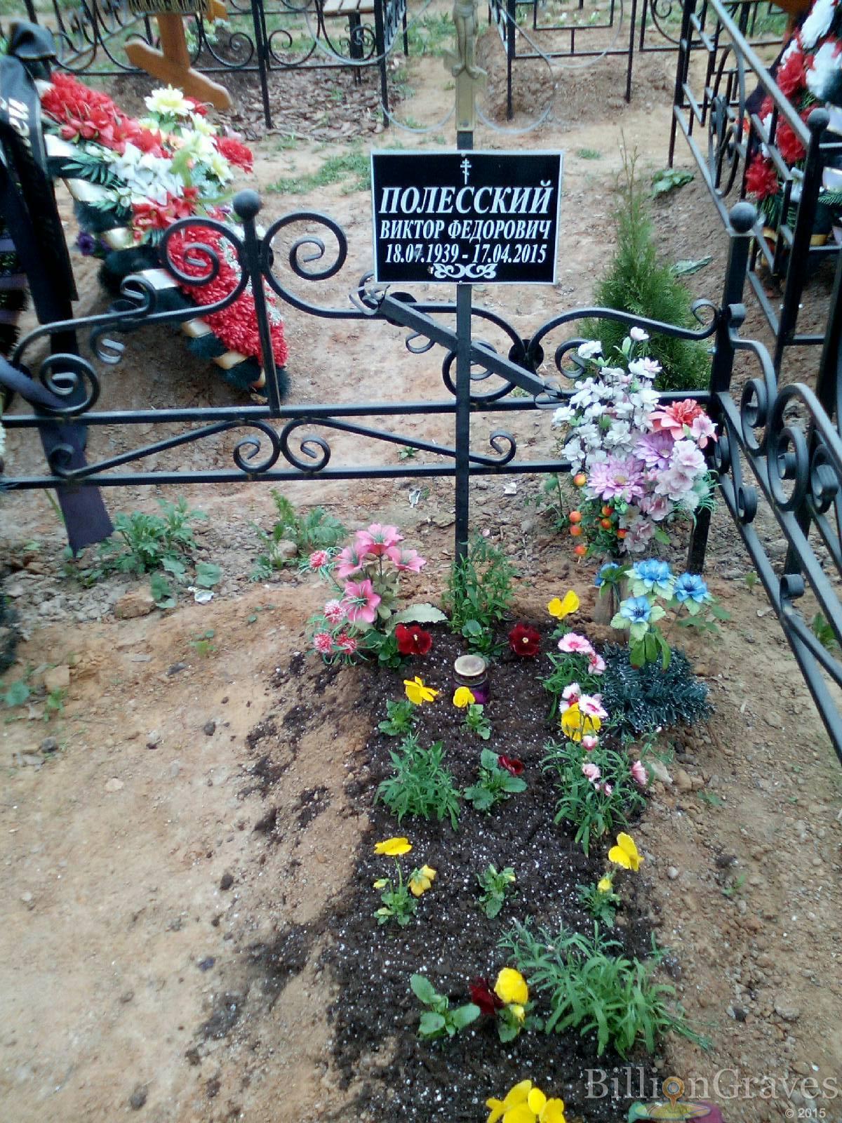 полесский виктор федорович