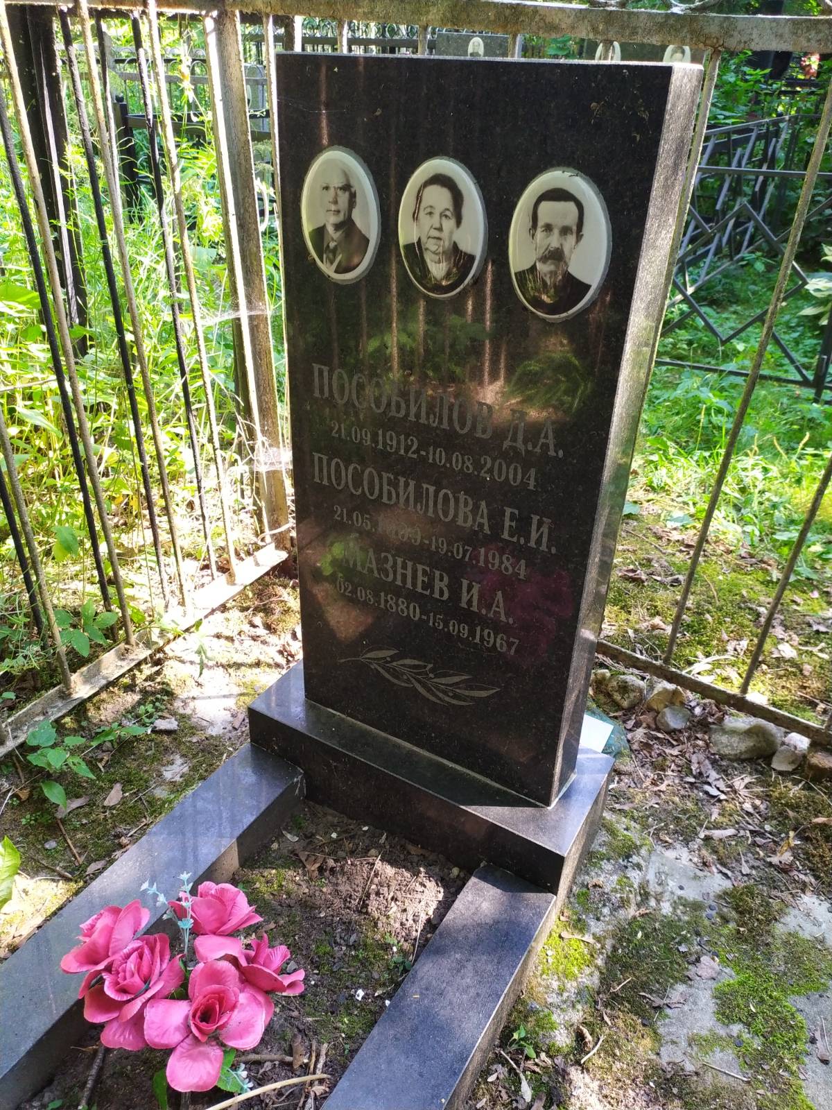 Пособилов Д. А.