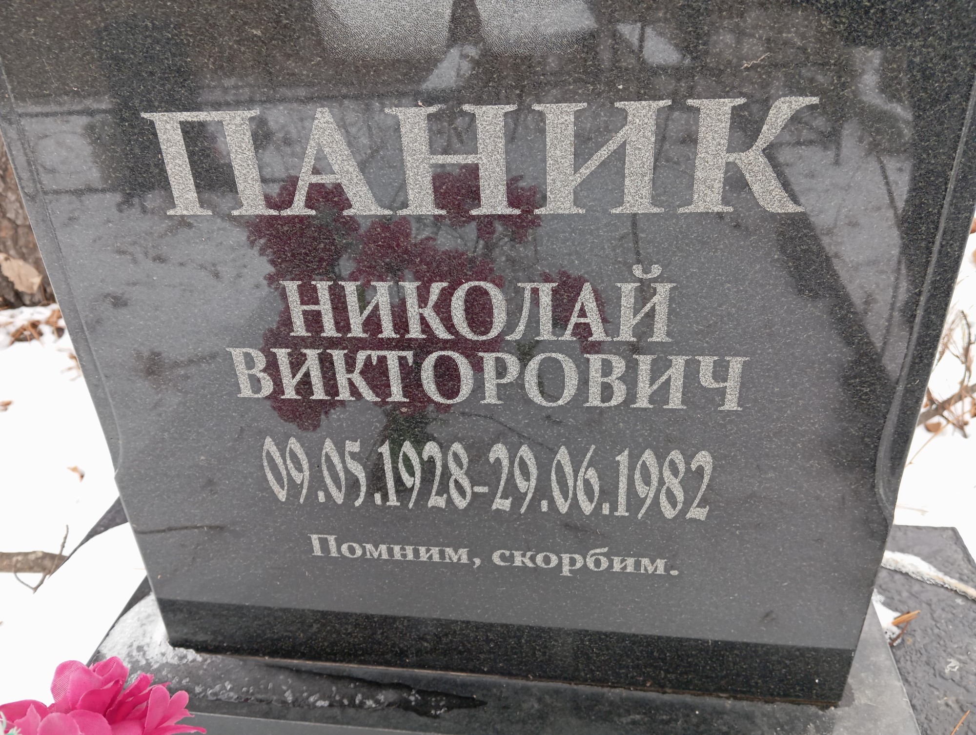 Паник Николай Викторович