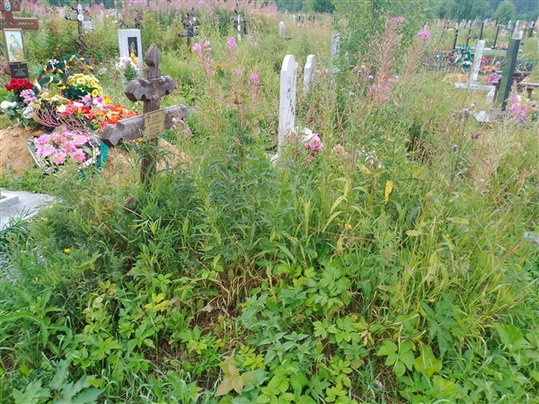 Козлов Сергей Анатольевич