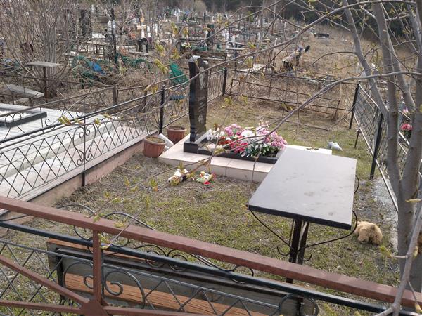 Дейбель Софья Александровна