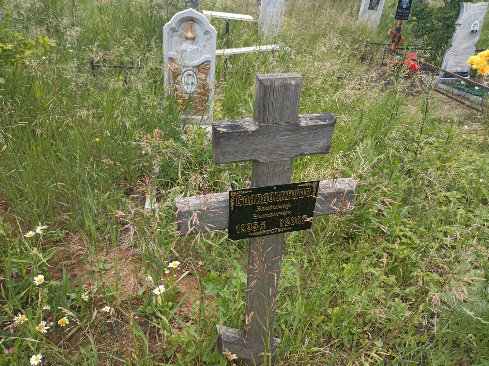 Солодовников Владимир Николаевич
