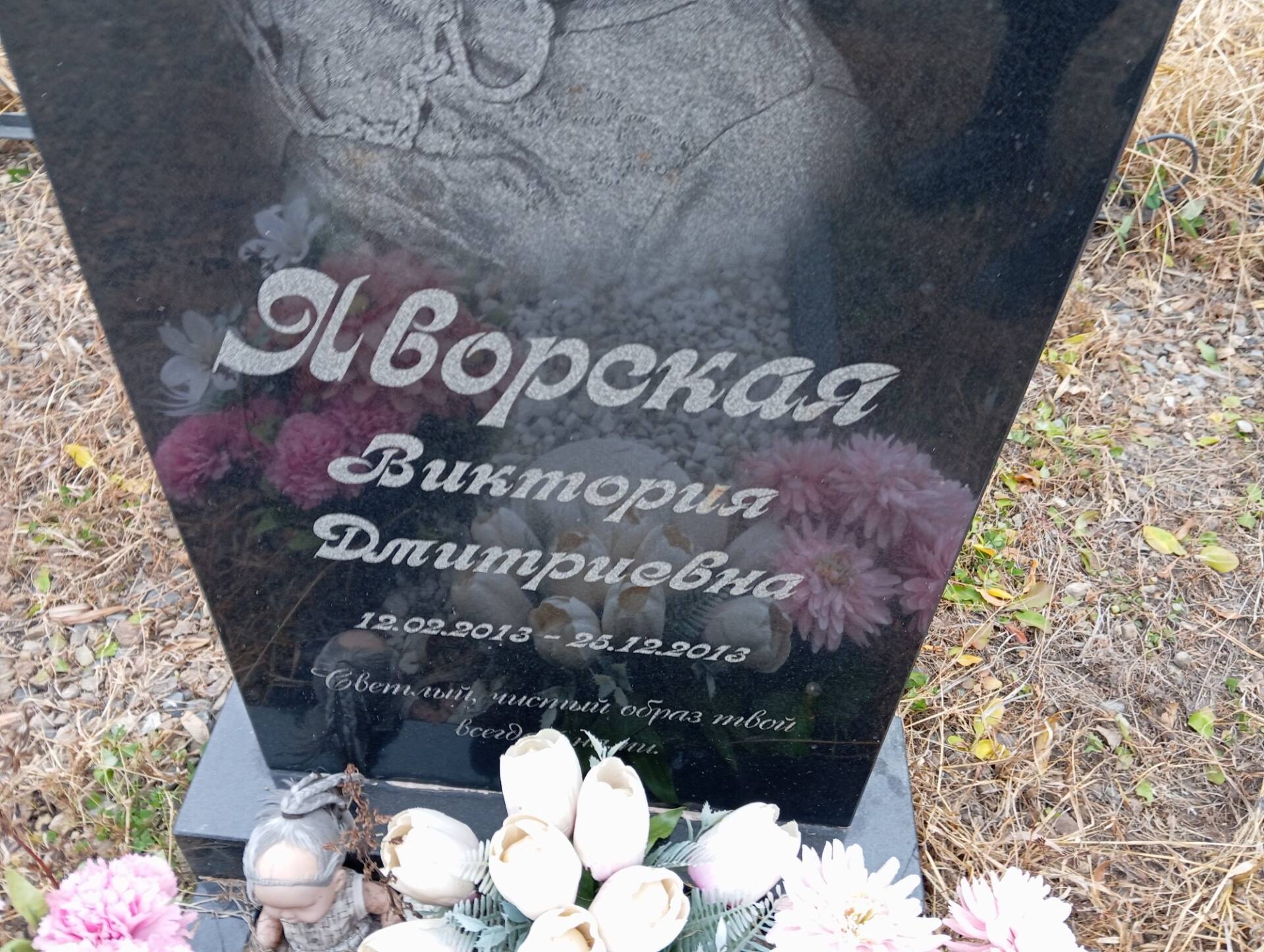 Яворская Виктория Дмитриевна
