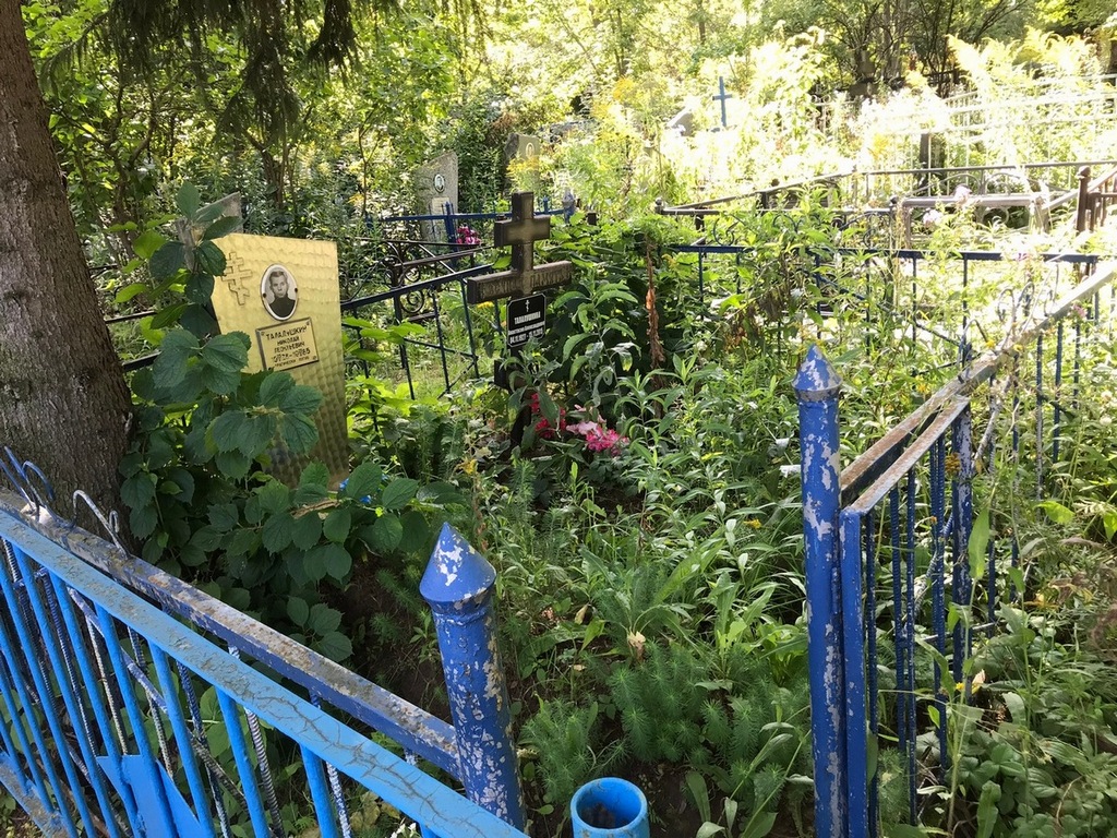 Талалушкина Анастасия Александровна