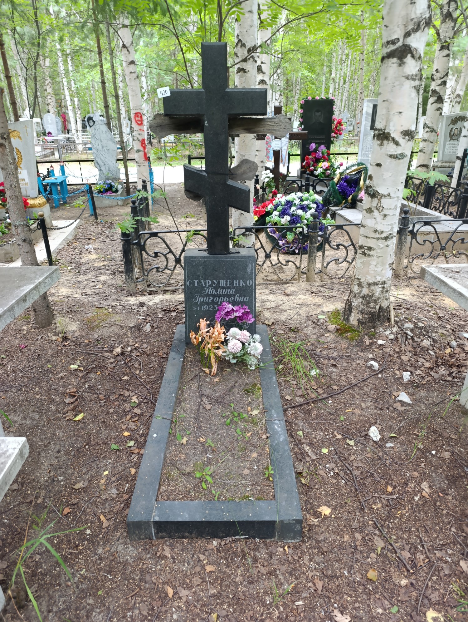 Старущенко Полина Григорьевна