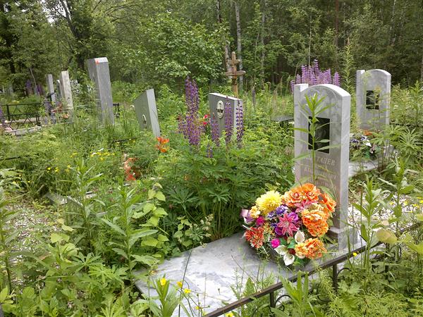 Ветлугин Николай Спиридонович