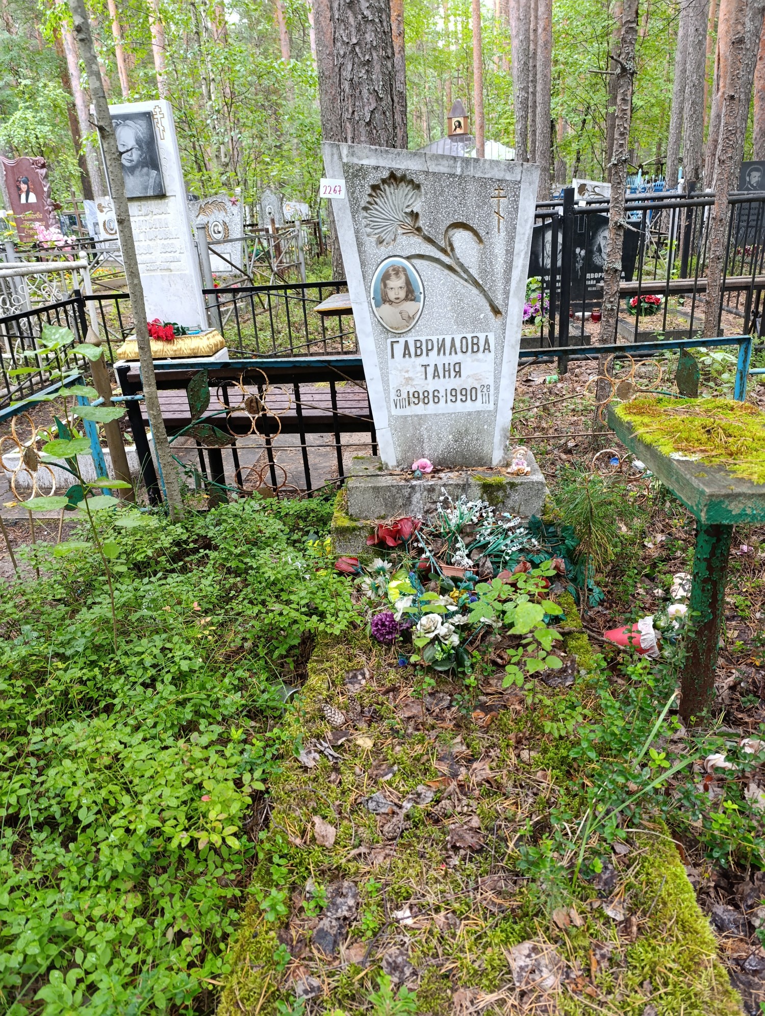 Гаврилова Таня