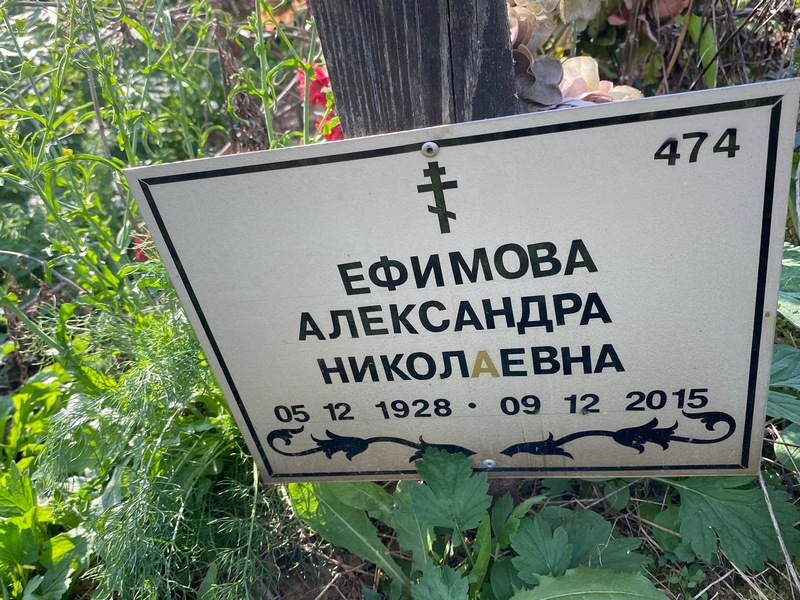 Ефимова Александра Николаевна