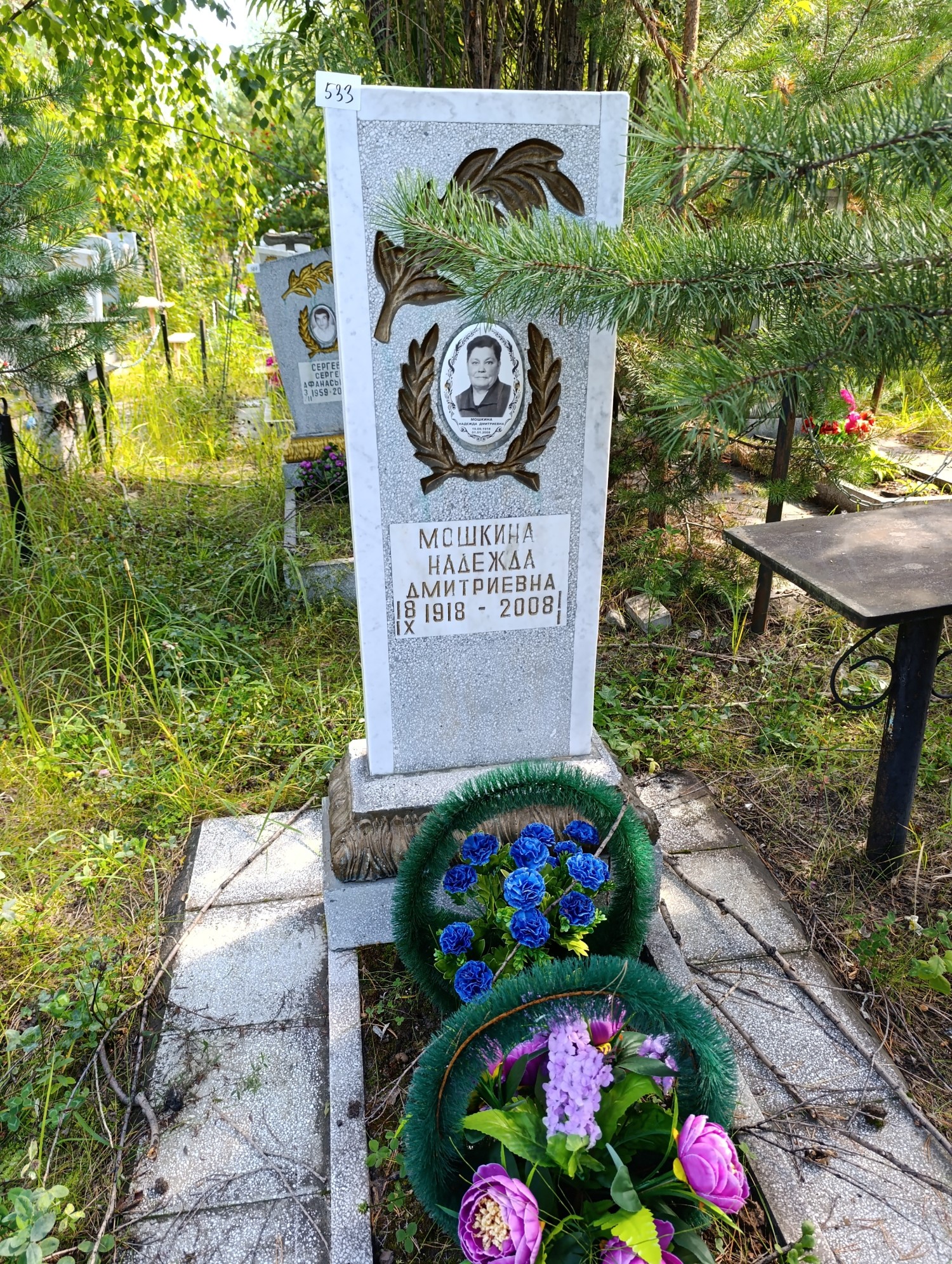 Мошкина Надежда Дмитриевна