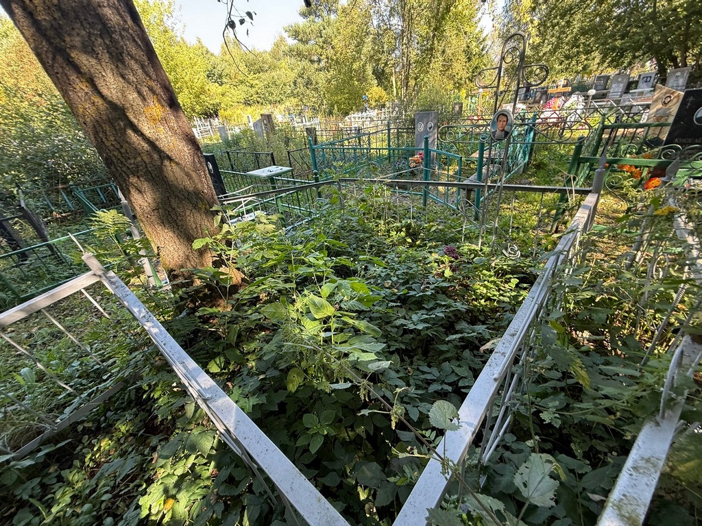 Митряев Александр Никитович