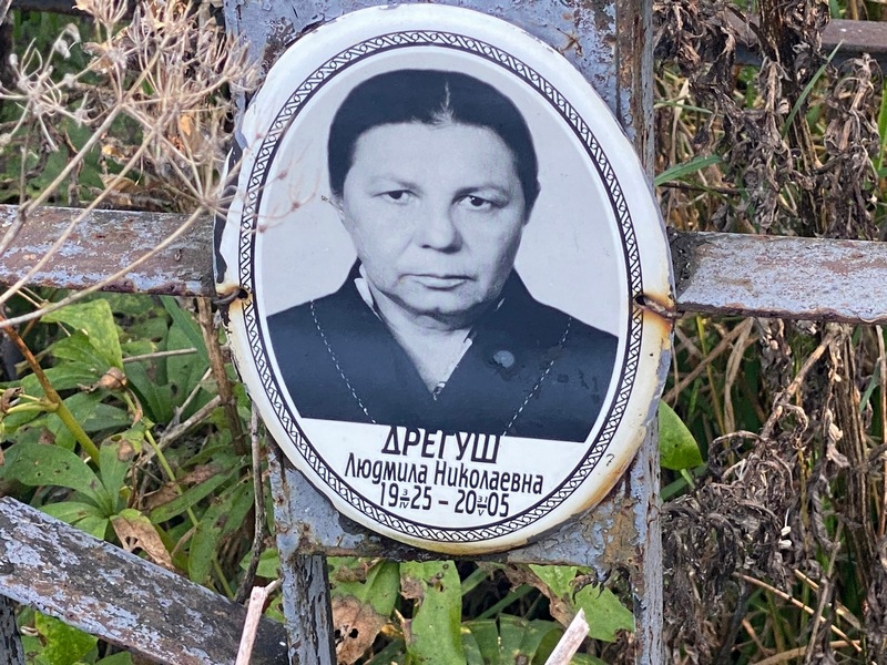 Дрегуш