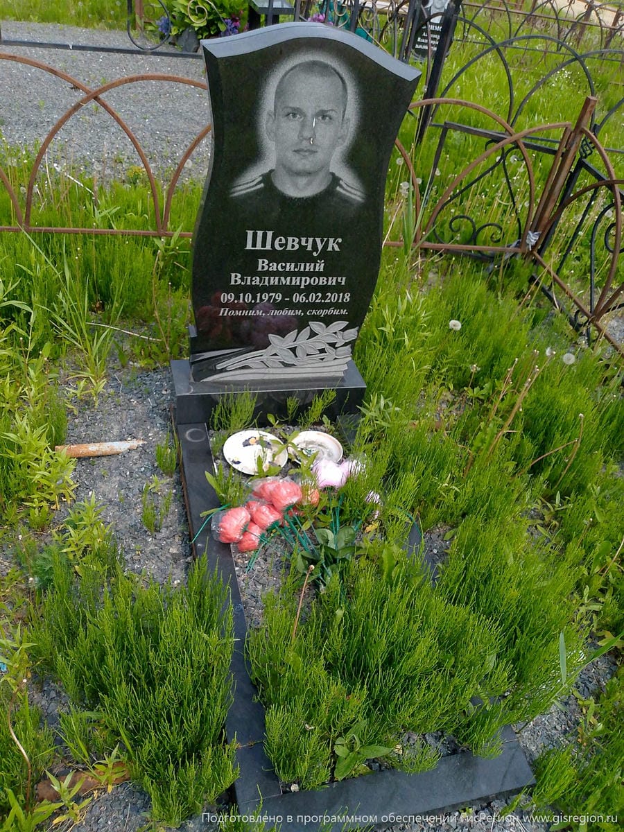 Шевчук Василий Владимирович