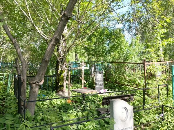 Дмитриев Станислав Игоревич