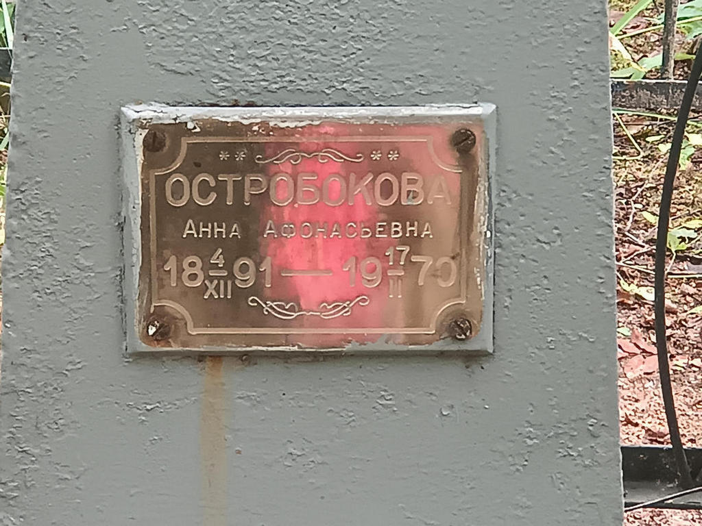Остробокова Анна Афонасьевна