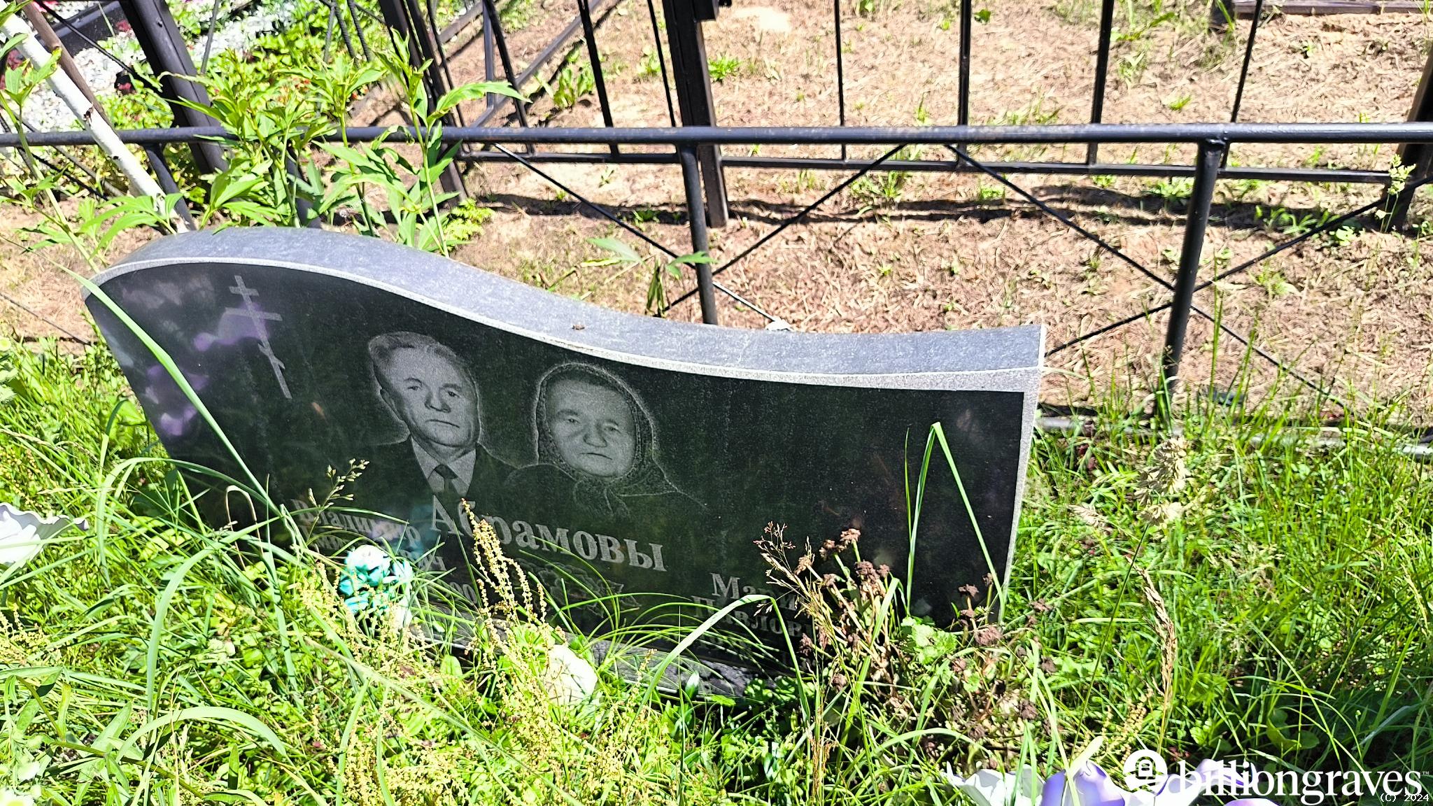 Абрамов Владимир Дмитриевич