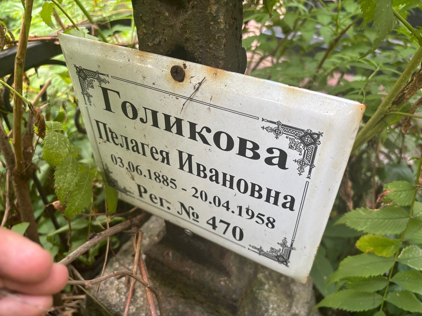 Голикова Пелагея Ивановна