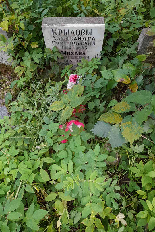 Крылов Михаил Сергеевич