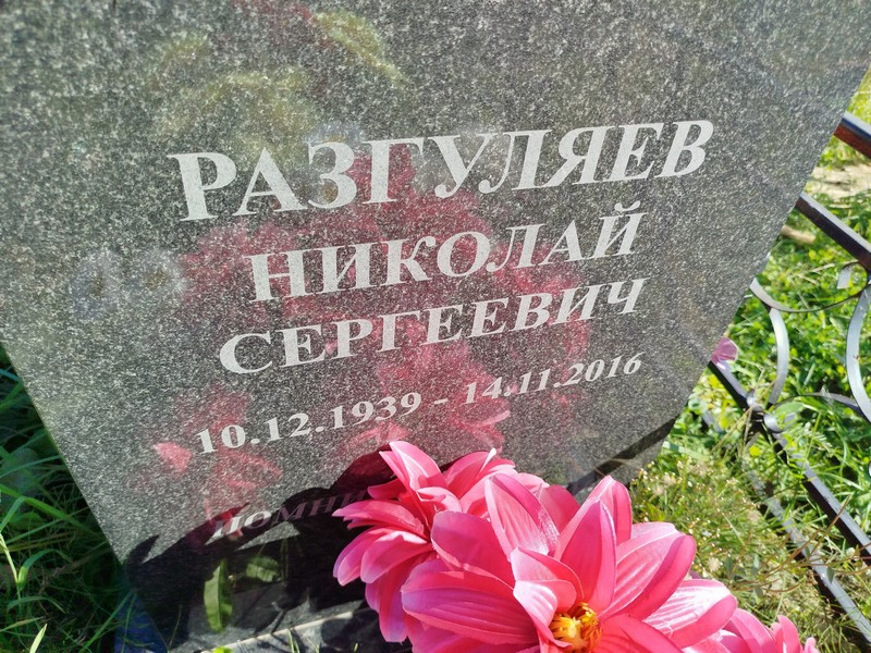 Разгуляев