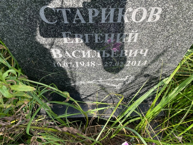 Стариков