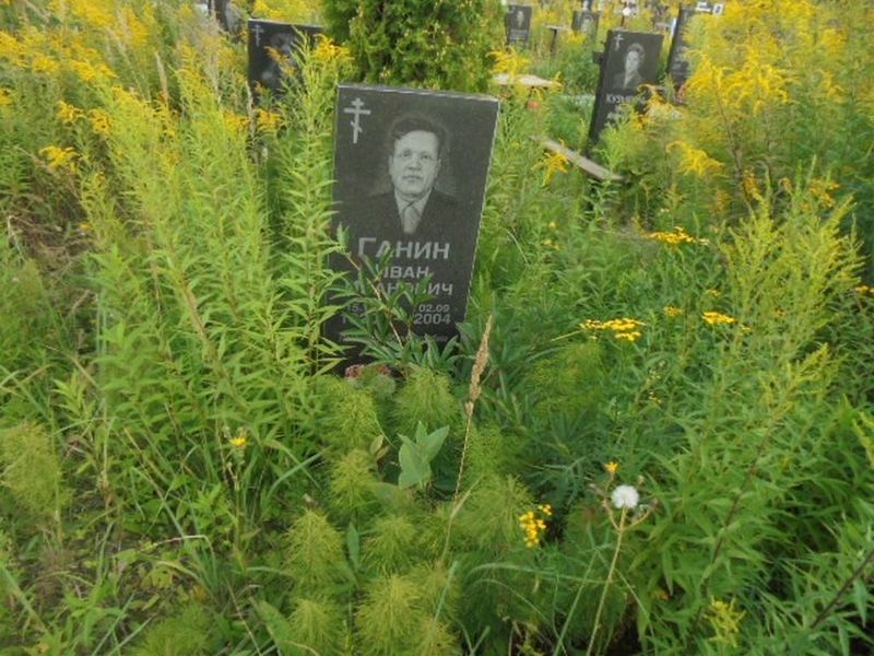Ганин Иван Иванович