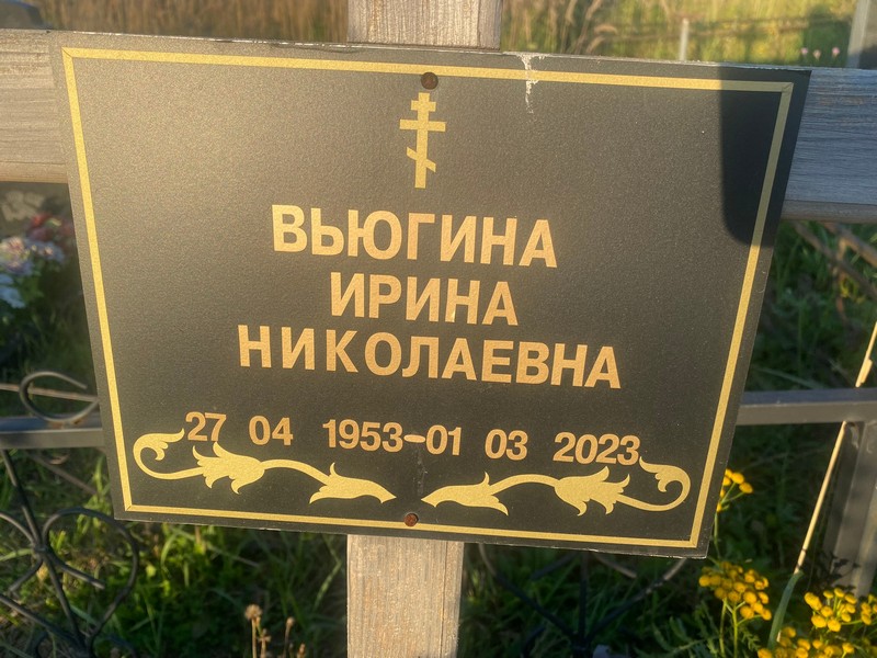 Вьюгина