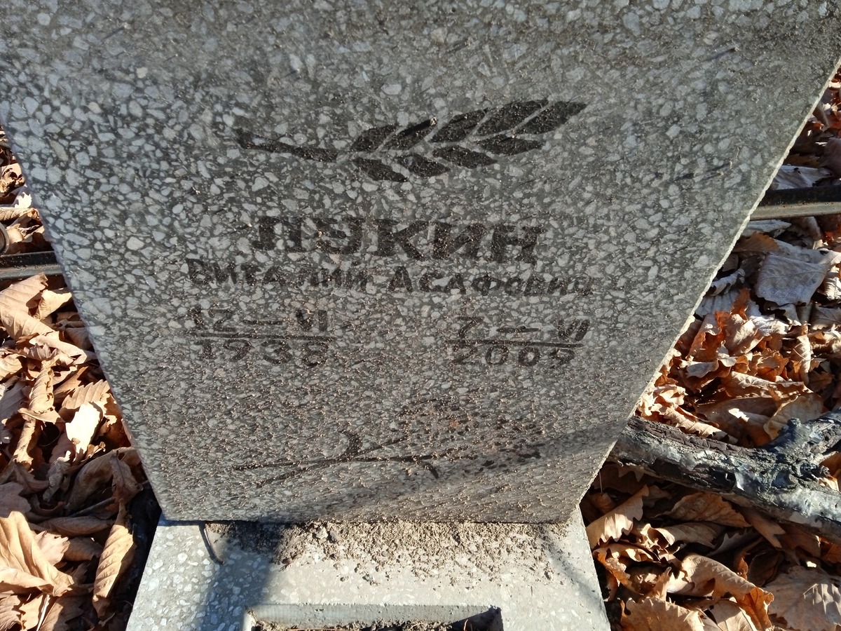 Лукин Виталий Асафович