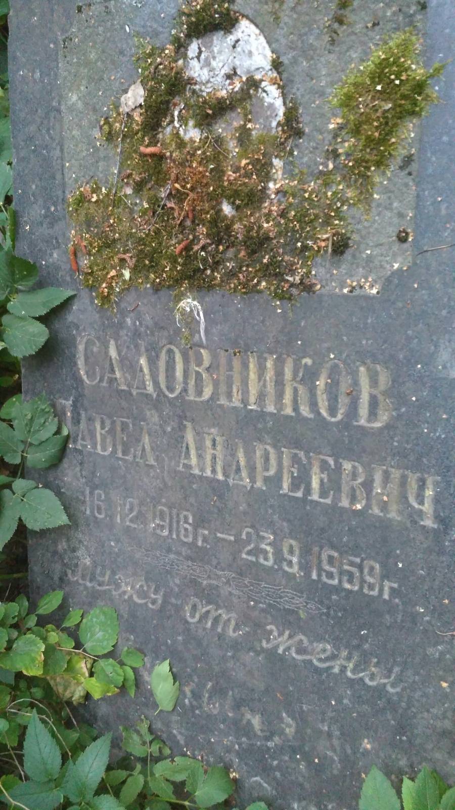 Садовников Павел Андреевич