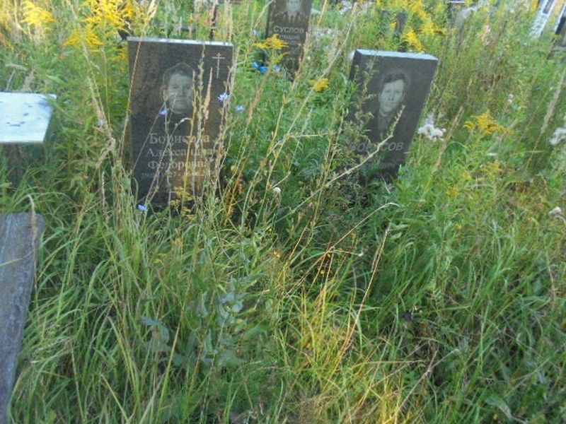 Борисова Александра Федоровна