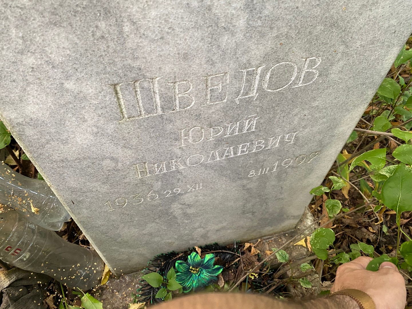 Шведов