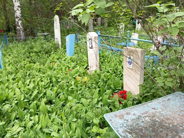 Вождаев Владимир Иванович