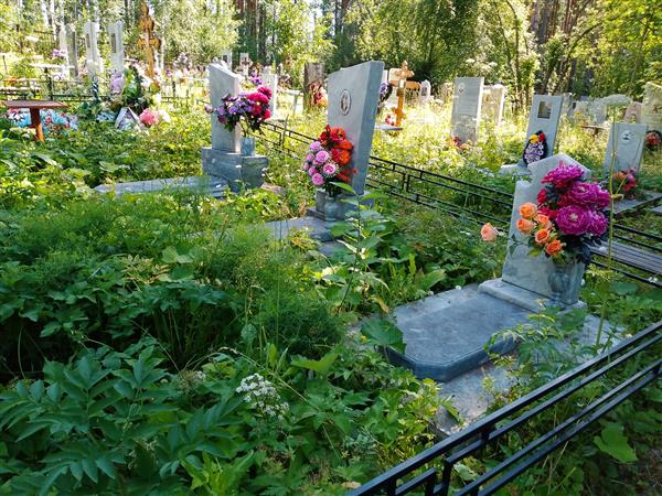Девятов Александр Владимирович