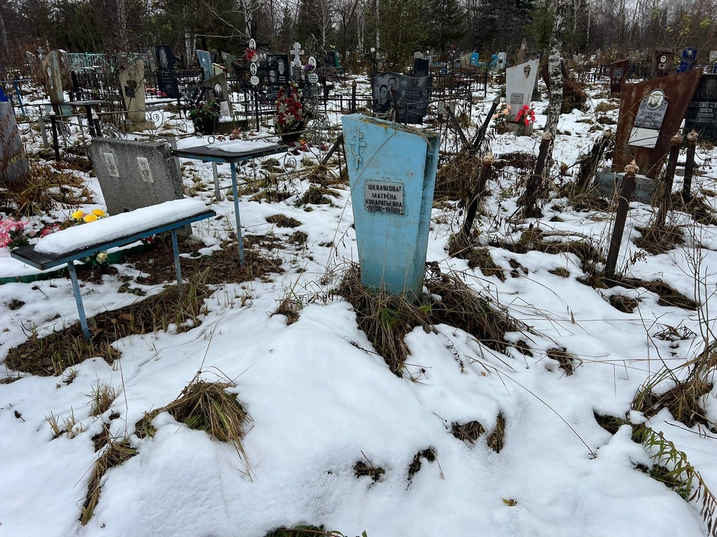 Шевлякова Матрена Кондратьевна