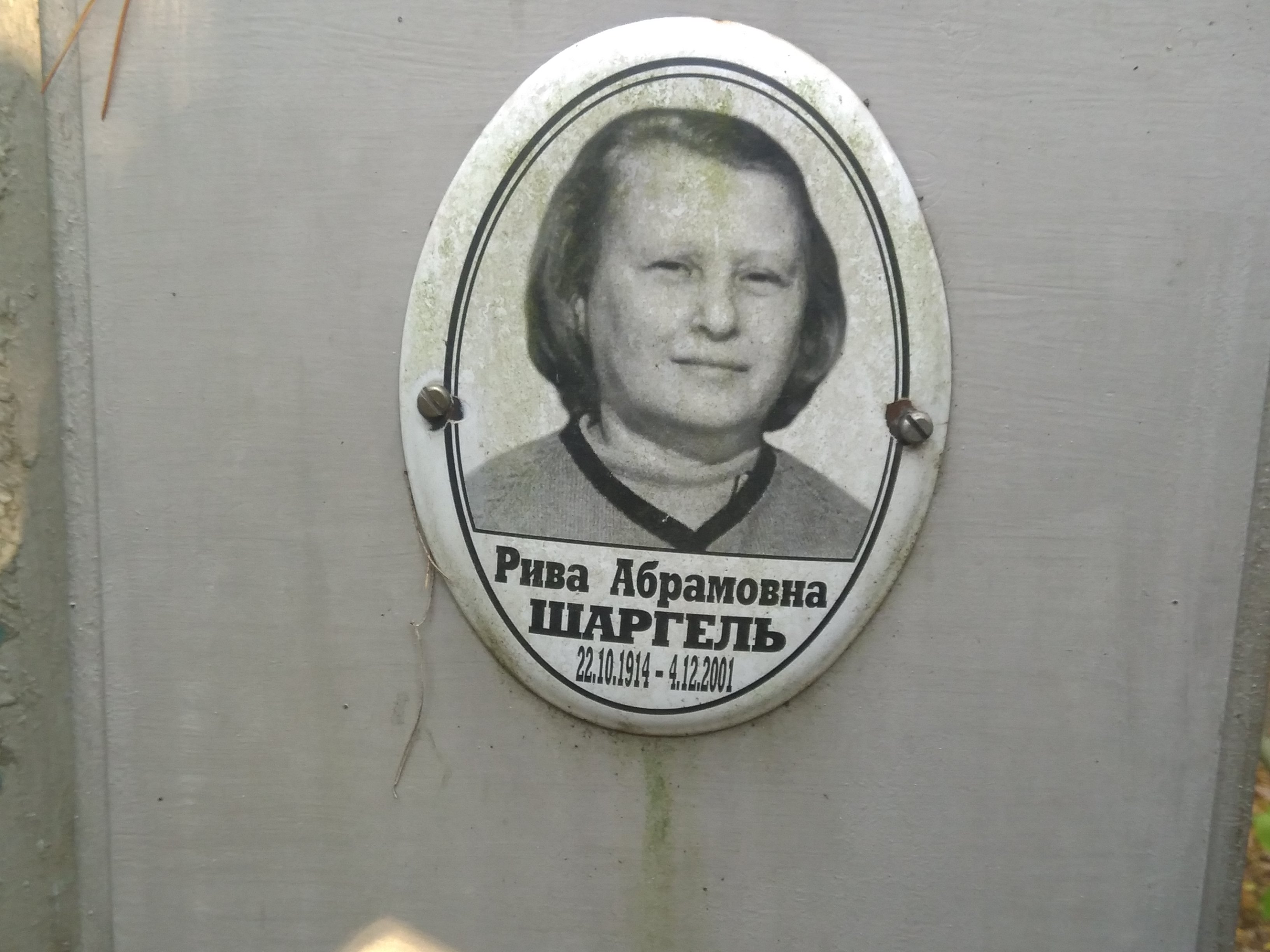 Шаргель Рива Абрамовна