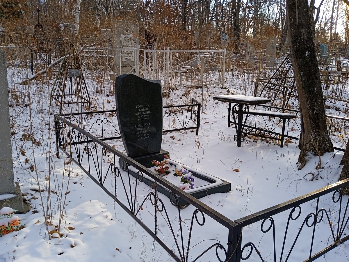 Гольдин Ханан Завельевич