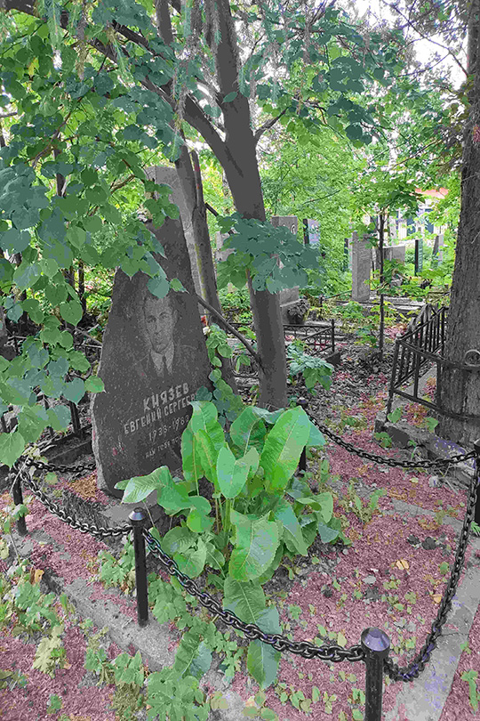 Князев Евгений Сергеевич