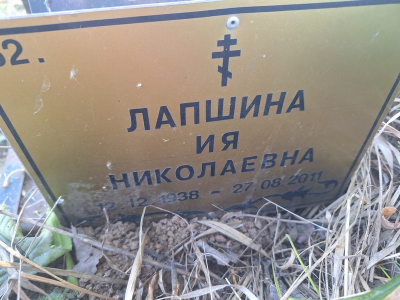 Ия Лапшина Николаевна