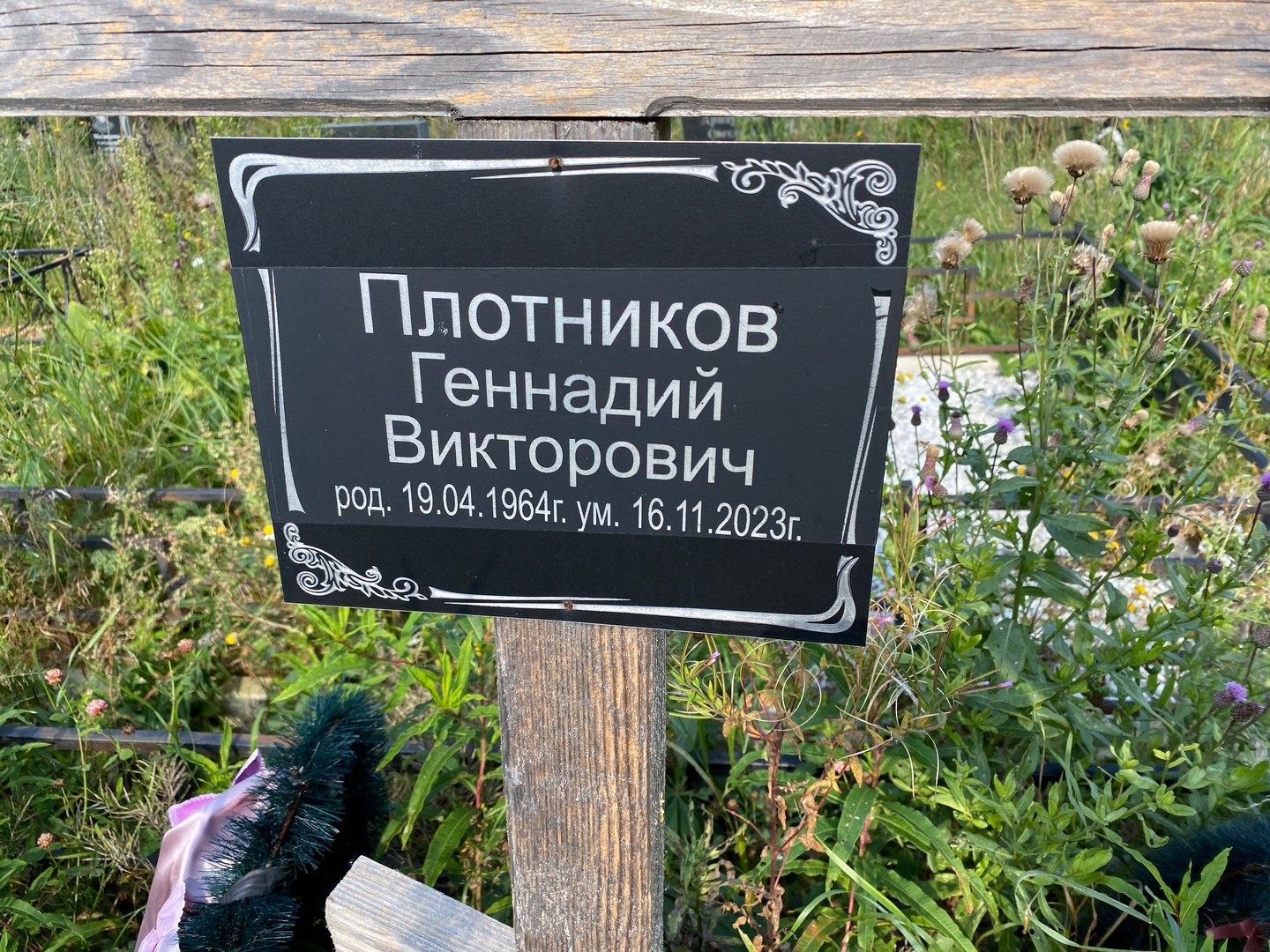 Плотников